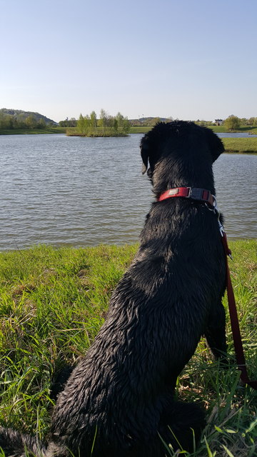 Entspannung für Mensch und Tier bei Traumfrühlingswetter