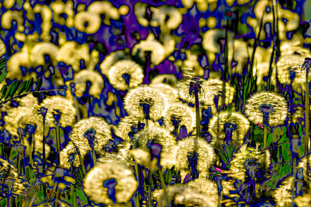 Foto: evelyn.resch@gmx.at