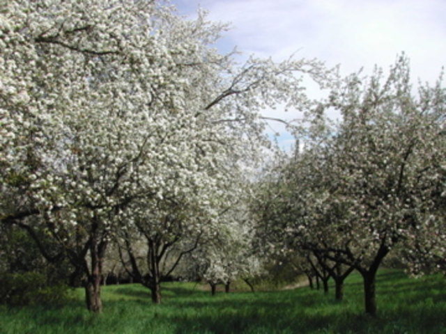 Wir sind täglich von sensationeller Schönheit umgeben