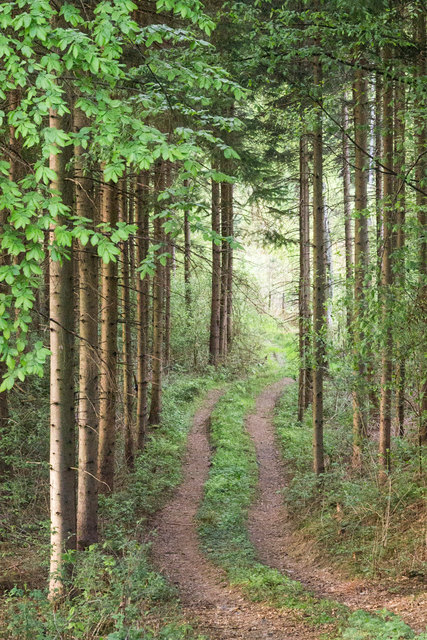 Foto: evelyn.resch@gmx.at