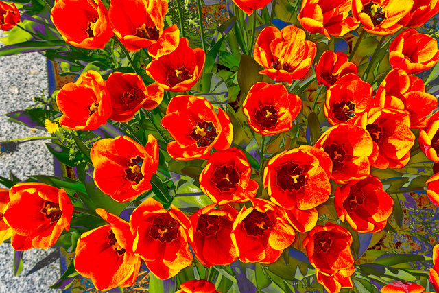 Foto: evelyn.resch@gmx.at