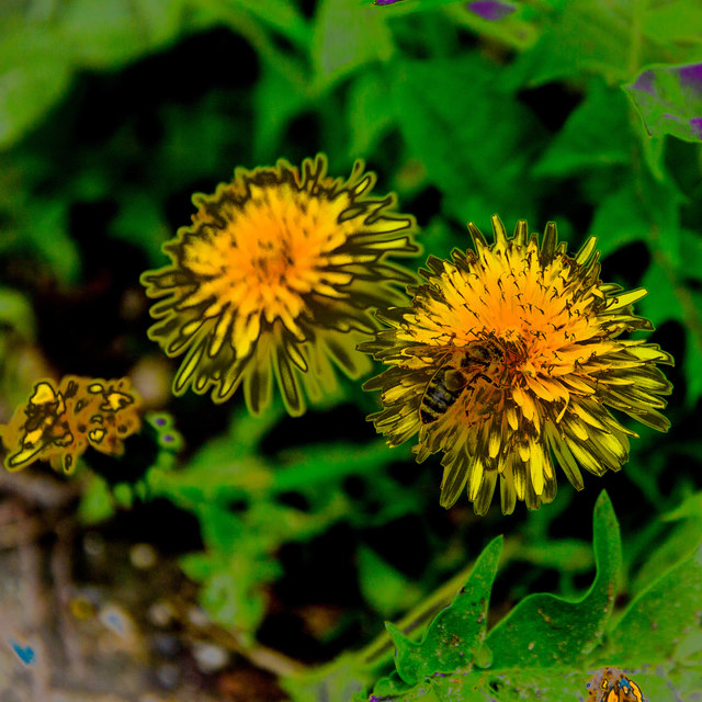 Foto: evelyn.resch@gmx.at