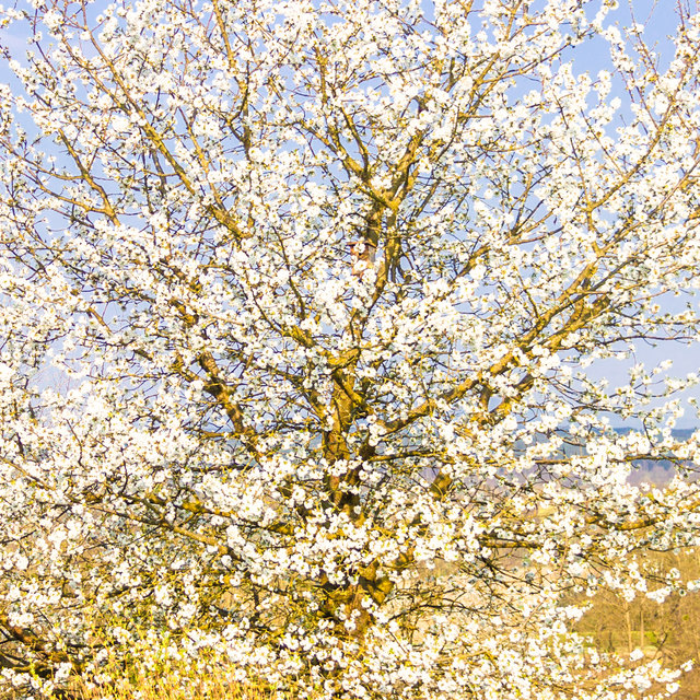 Foto: evelyn.resch@gmx.at