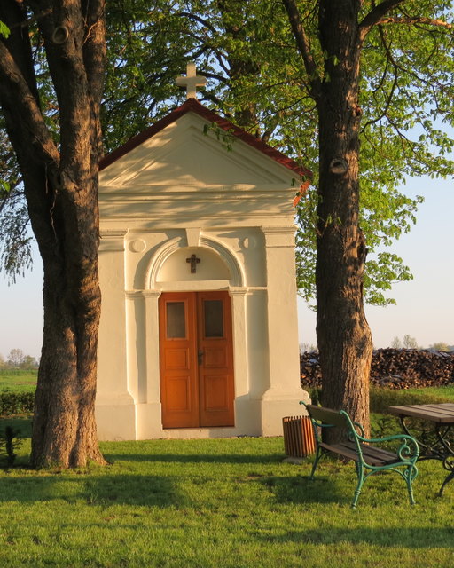 beim Spaziergang in Strebersdorf/BGLD