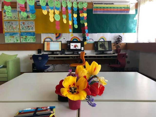 Die Kinder der 2. Klasse der Volksschule Podersdorf am See haben sich Frühlingsblumen in die Klasse geholt