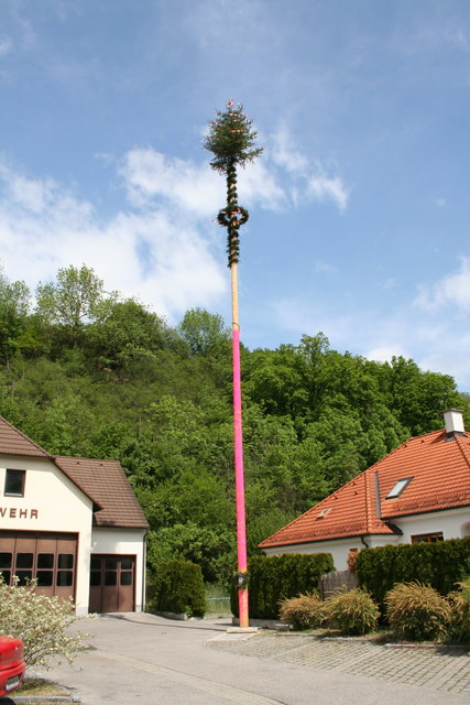 Unvergessen: Der rosa Maibaum in Aggsbach-Dorf. | Foto: Christian Trinkl