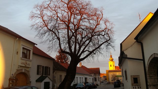 Ein Dorf erwacht der Frühling ist da