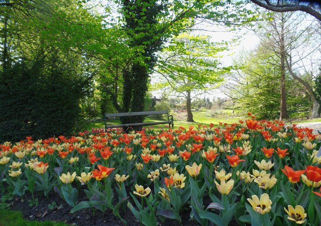 Frühling in Tulln