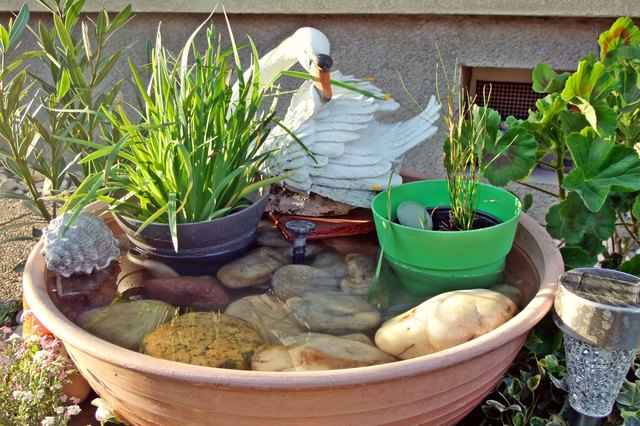 Der Brunnen mit links Binsenlilie, rechts Blutweiderrich und Sumpfgras