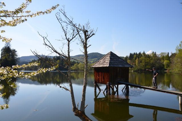 Rundweg um die Moosburger Teiche Klagenfurt Land