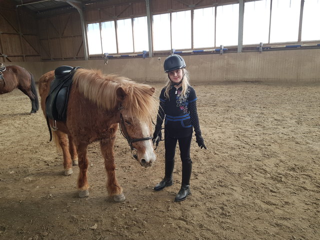 Die Reit-Saison im Freien hat begonnen und Reiterin und Pferdchen freuen sich schon. Claudia mit einem ihrer Lieblingspferdchen, dem Islandpony "Godzilla"!