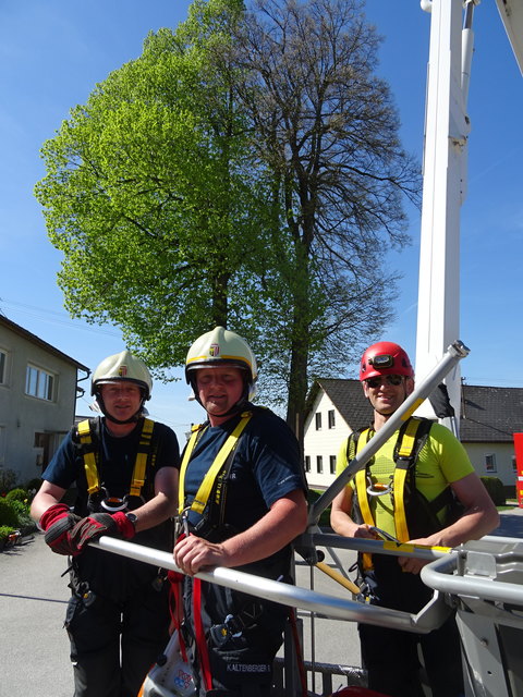 Josef Bräuer und Feuerwehrkommandant Reinhard Kaltenberger führten die Arbeiten bei der Fällung der beiden Jubiläumslinden mit Hilfe des Feuerwehr-Hubsteigers aus | Foto: Alois Ferihumer