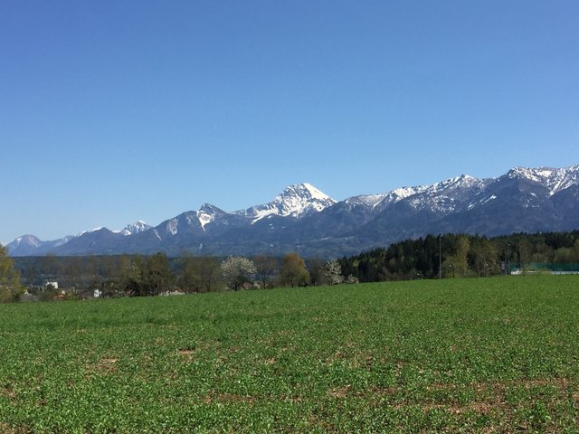 ...wünsche Euch allen eine schöne Woche, und seid im FRÜHLINGSRAUSCH trunken vor Glück!