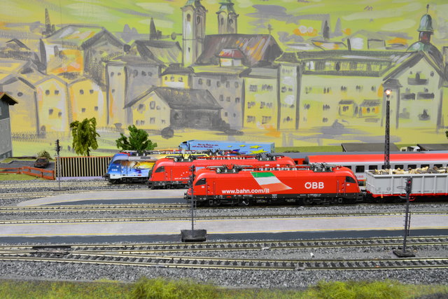 Foto: S. Steiner