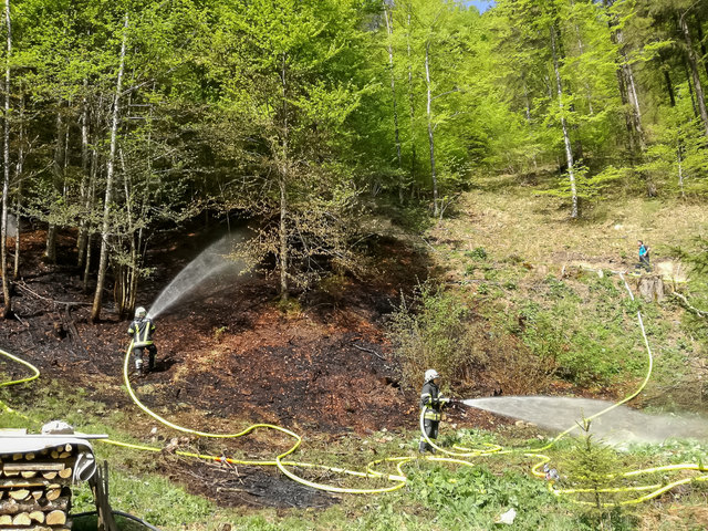 Eine Ausbreitung des Brandes konnte verhindert werden