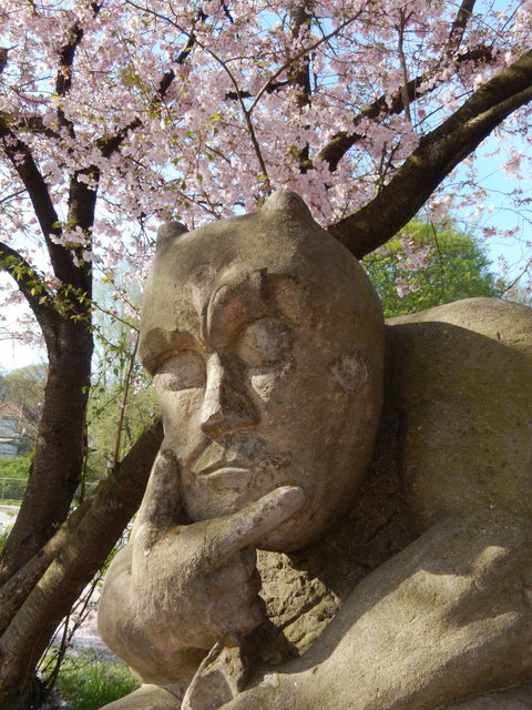 Mhhh, warum blüht alles?