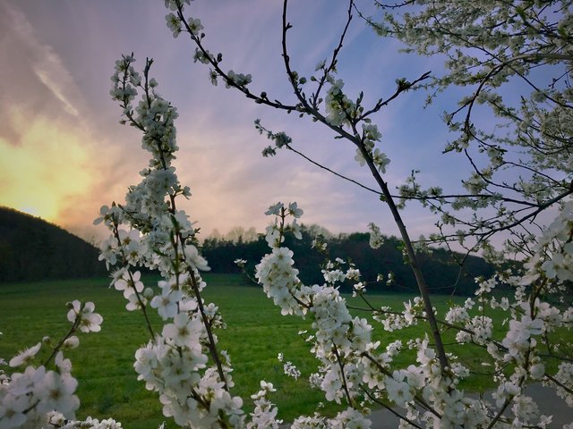 Abendspaziergang in Kobersdorf