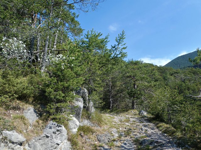 Einer von vielen schönen Wegen über den Zirler Berg
