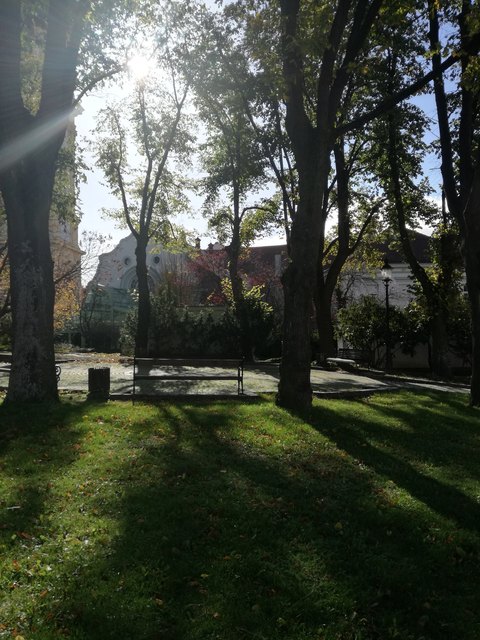 Herrliche Stimmung Dank der Sonnenstrahlen im Stadtpark in Stockerau.
