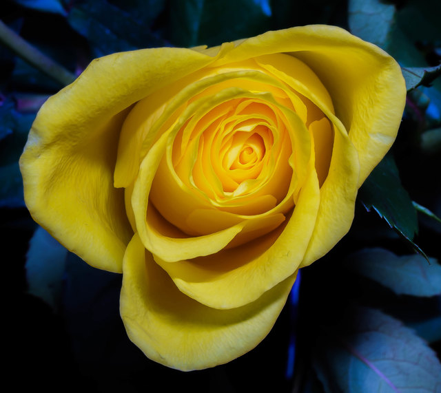 Die Farbenpracht des Frühlings....