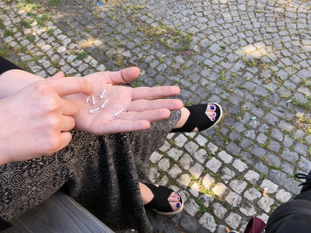 Die kleinen Ameisen aus Naturkunststoff sollen für Gesprächsstoff im Sandleitenhof sorgen.