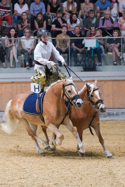 Die Lambacher Pferdewirte boten ein "Best of Heiße Eisen". | Foto: Samantha Gostner