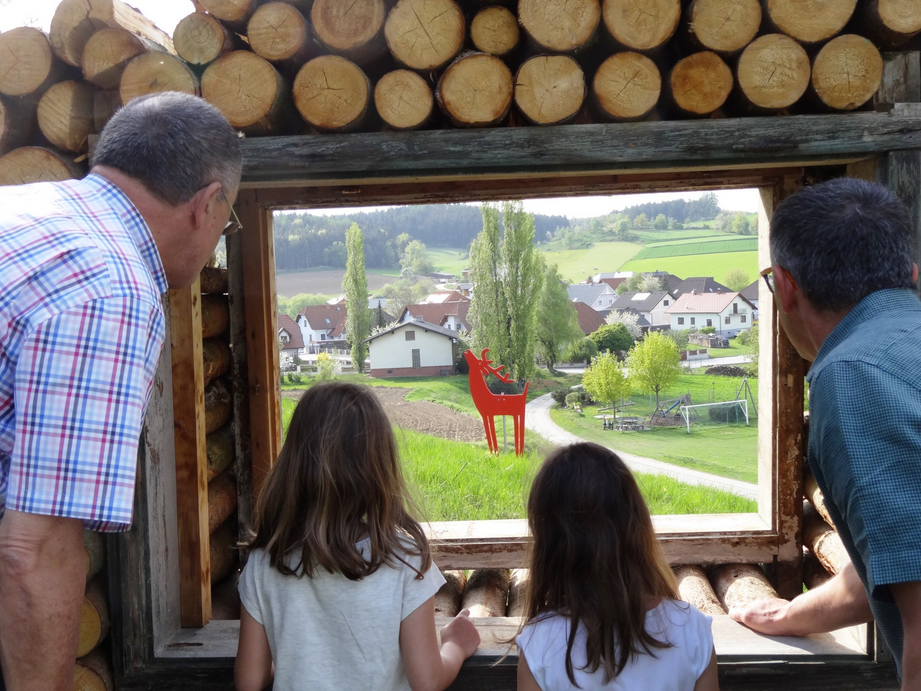 13 Installationen an verschiedenen Orten der Gemeinde Lichtenau mit kreativ unterschiedlichen Gestaltungsformen bilden das Gesamtprojekt zum Festival-Motto "Narrnkastl schaun". Und im Karikaturengarten Brunn am Wald hat Prof. Robert Colnago zusätzlich eine künstlerische Arbeit zu diesem Thema beigetragen.
