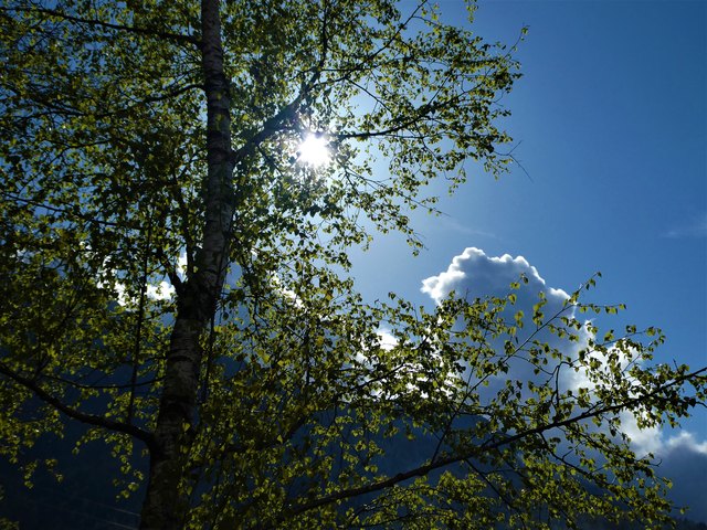 Das ideale Wetter für eine ausgedehnte Wanderung durch eine wunderbar frühlingsgrüne Natur...