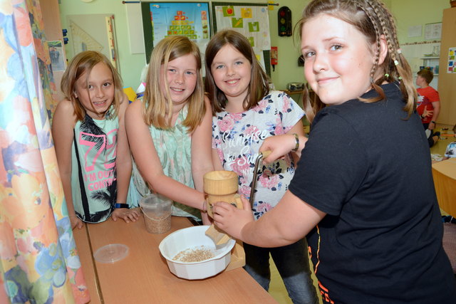 Lena, Laura, Sophie und Maja schroten bei einer der Stationen Getreide für das Frühstücksmüsli im Workshop „Ein guter Start in den Morgen“ .