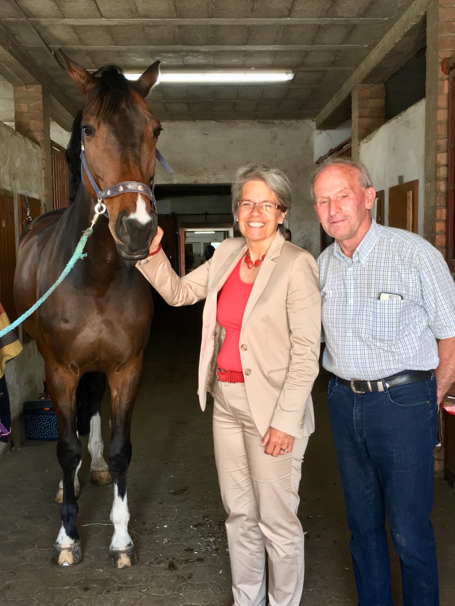 Landesrätin Bohuslav besuchte das Reitsportzentrum Rösch Wiener Neustadt