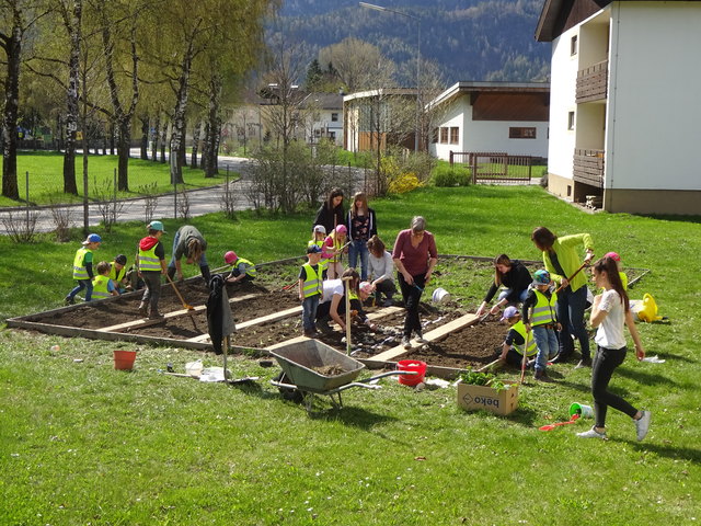 Beim Umstechen, Setzen, Säen und Gießen lernten die Kinder viel über die Pflanzen- und Gemüsesorten.