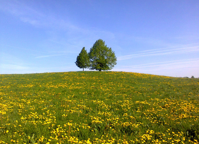 an der Nordseite der Gärtnerei Kral