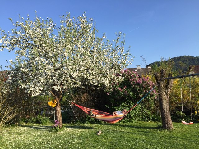 So warte ich die Lieferverzögerung der Möbel vom XXXLutz ab