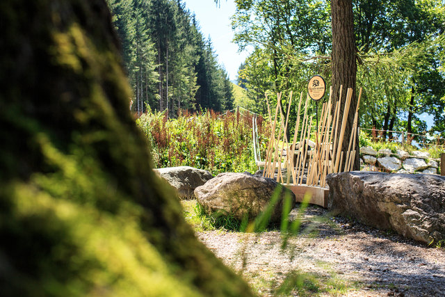 Wander-Stecken zum Nehmen und Zurückgeben. | Foto: Florian Lechner