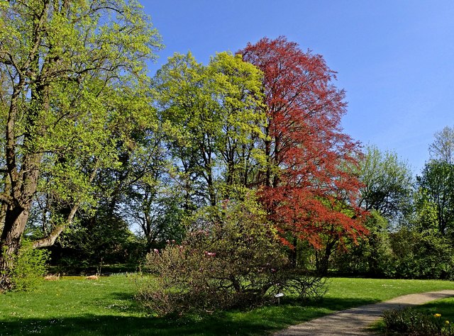 Schlossgarten Mühlbach am Manhartsberg