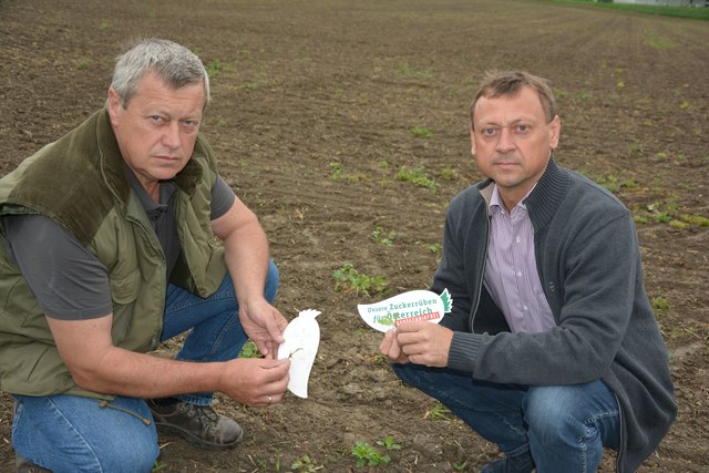 Bezirksbauernkammer-Obmann Hermann Dam und NR Johann Höfinger hoffen auf Hilfe.