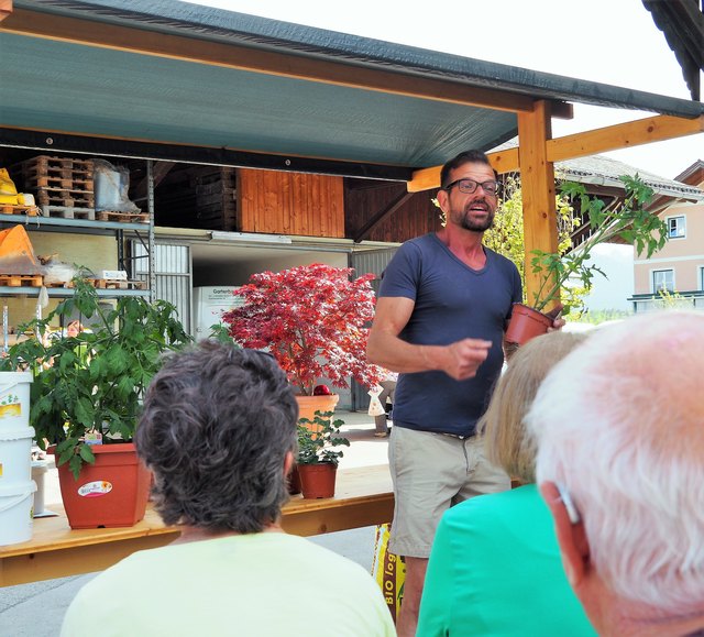 Schwungvolle Tomatenkunde mit Karl Ploberger