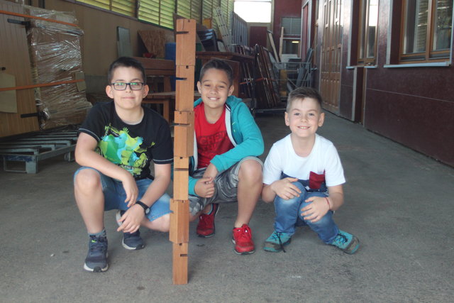 Die Tischlerei Schweitzer besuchten Schüler der Volksschule Strem. | Foto: WK