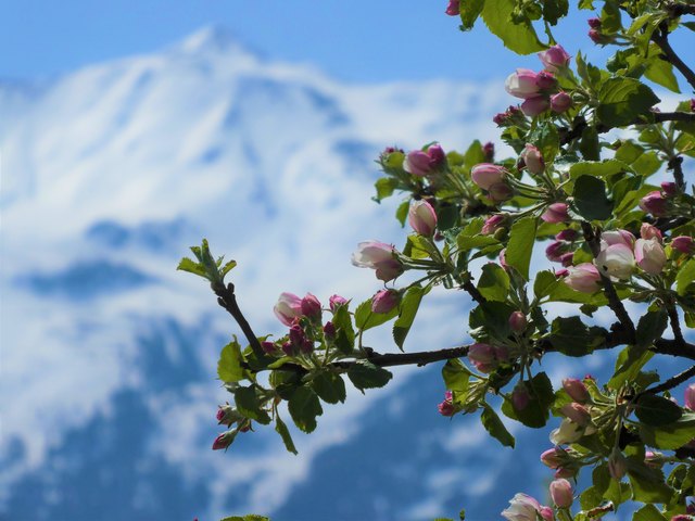 Der April 2018 ist der wärmste seit Beginn der flächendeckenden Temperaturaufzeichungen im Jahre 1848. | Foto: Petra Happacher