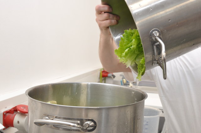 Ins Eis kommen Krauthäuptel, Zitrone, Wasser und Zucker.