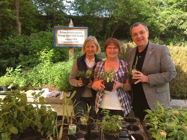 Herta Kerschbaumer, Obfrau Maria Lechner und Bgm. Rupert Dworak im Kräutergarten des Kneipp-Clubs Ternitz.