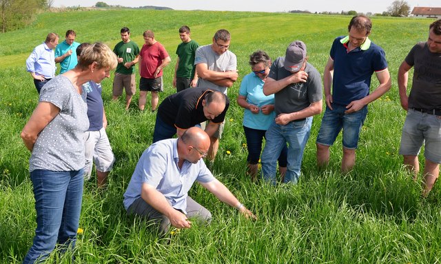 Die Rallye half den Bäuerinnen und Bauern den idealen Silirzeitpunkt zu bestimmen. | Foto: OÖ Bauernbund