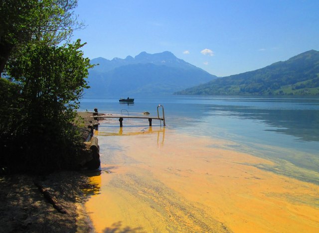 Wallern an der trattnach reiche junge singles seewalchen am attersee m nner kennenlernen. Mank mann sucht frau. Wien single dating. Langenwang single Junge singles seewalchen am attersee: Salzburg menschen