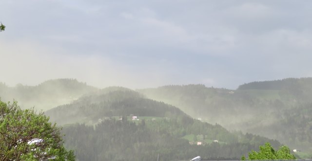 Wind bläst gelben Blütenstaub aus Fichtenwäldern östlich Wolfsbergs - Lavanttal