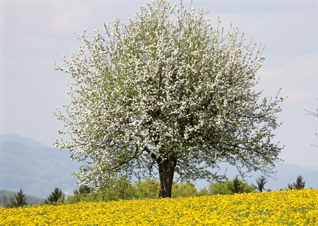 Die letzten Apriltage