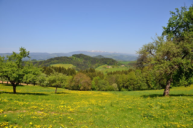 Ein bisserl erinnert mich die Landschaft an die Südsteiermark.