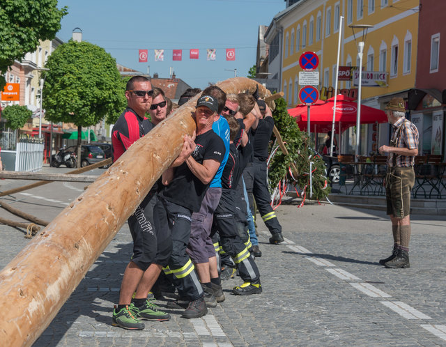 Bisher wurde der Maibaum in Kirchdorf immer mit Muskelkraft aufgestellt