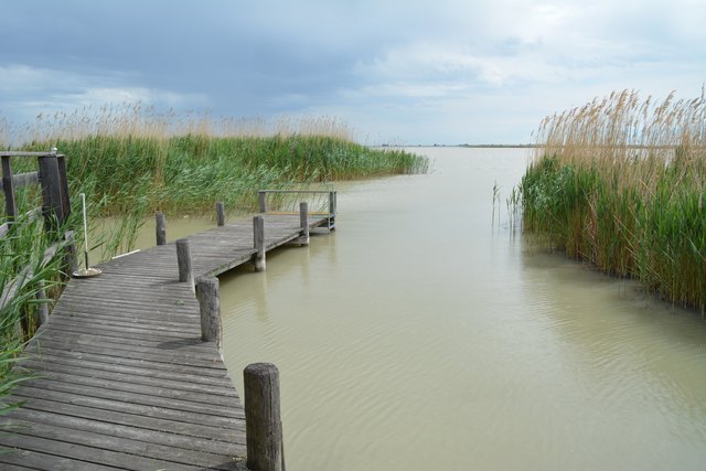 Das Rätsel um den Leichenfund im Neusiedler See dürfte gelöst sein. | Foto: Tscheinig