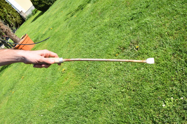 Der Spargel wird mit einem Spargelmesser händisch gestochen | Foto: Mörth