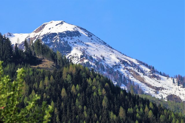 Zwölferkogel von Mühlbach aus gesehen